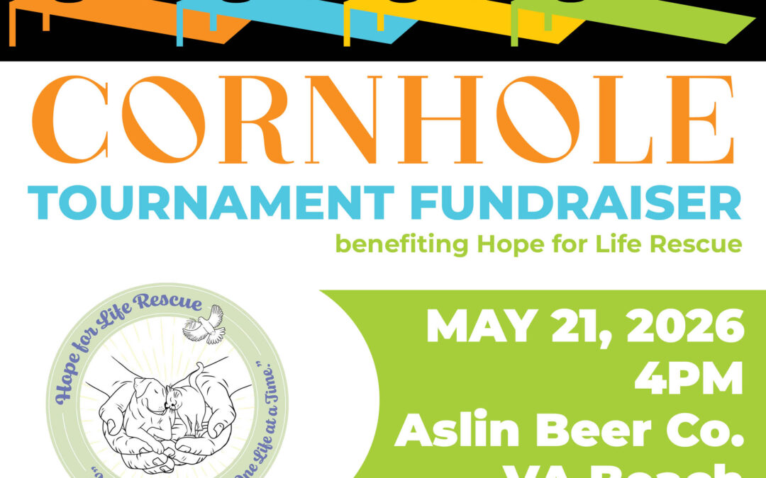 Young Professionals: Cornhole Tournament Fundraiser 5/21 HR
